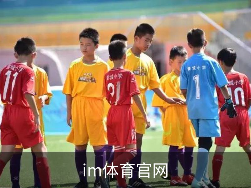 im体育官网简介